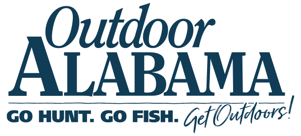 Primary Section Logo